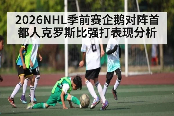2026NHL季前赛企鹅对阵首都人克罗斯比强打表现分析
