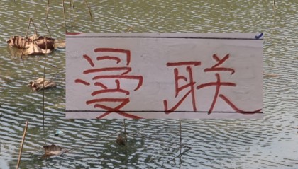 b体育下载-有排面！U23国足上了《新闻联播》 曼联B费再次入选英超单轮MVP